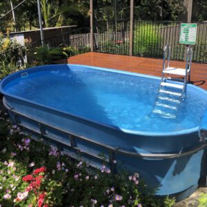 Above Ground Swimming Pool by a Woodan Deck with Ladder