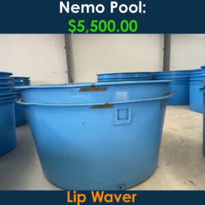 Nemo $5,500.00