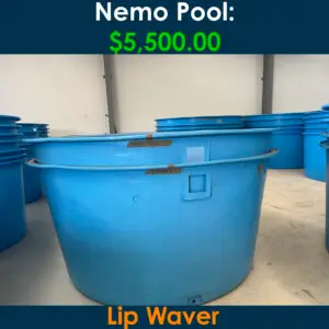 Nemo $5,500.00
